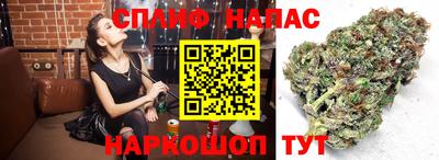 дурь Нягань