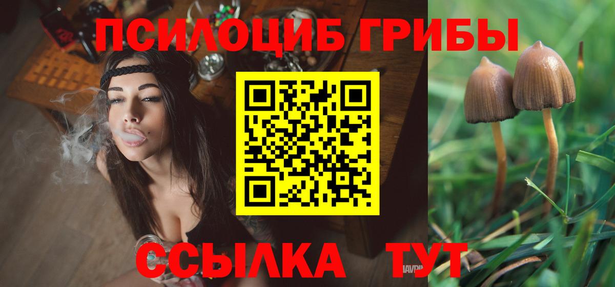 Псилоцибиновые грибы Cubensis  Вход с VPN  Альметьевск  наркотики  Псилоцибиновые грибы MAGIC MUSHROOMS 